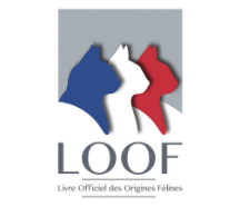 logo loof
